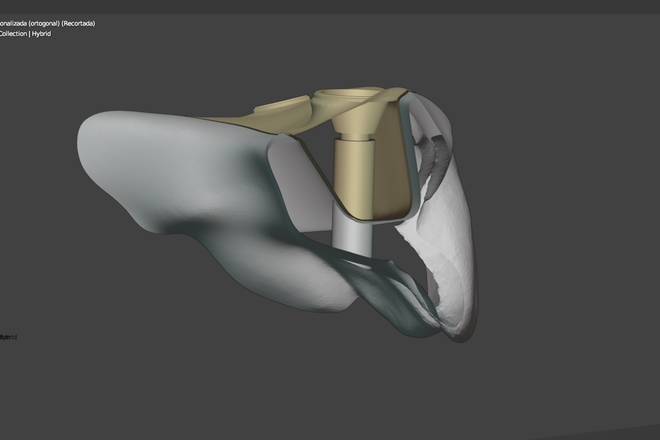 LEARN TO DESIGN IN BLENDER FOR DENTAL FROM SCRATCH